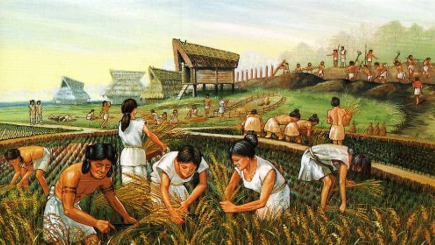 Chapter 9: Agriculture